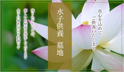 水子供養/墓地　残りわずかですが、新しいお檀家を募集しております　水子の御供養は予約制です